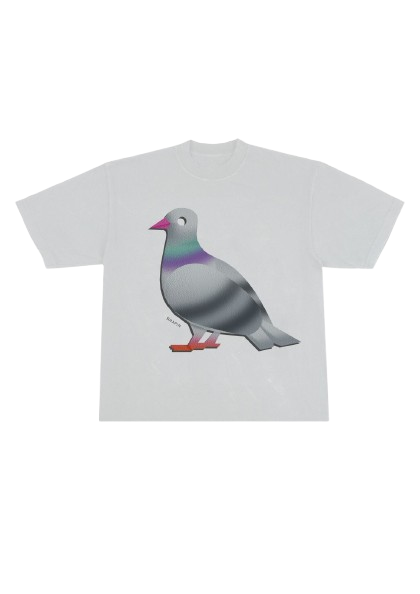 Airbrush Boxy T-shirt Pigeon