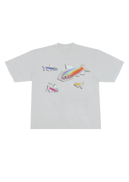 Airbrush Boxy Tshirt Fish